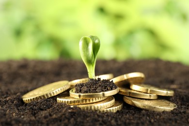 Photo of Coins with green plant on soil against blurred background, closeup. Money growth concept