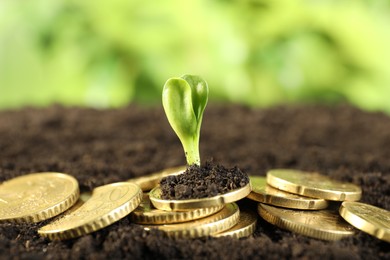 Photo of Coins with green plant on soil against blurred background, closeup. Money growth concept