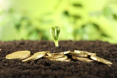 Photo of Coins with green plant on soil against blurred background, closeup. Money growth concept