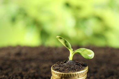 Photo of Stack of coins with green plant on soil against blurred background, closeup and space for text. Money growth concept