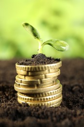 Photo of Stack of coins with green plant on soil against blurred background, closeup. Money growth concept