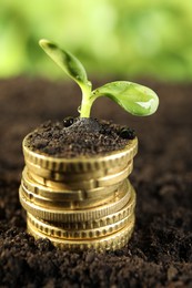 Photo of Stack of coins with green plant on soil against blurred background, closeup. Money growth concept