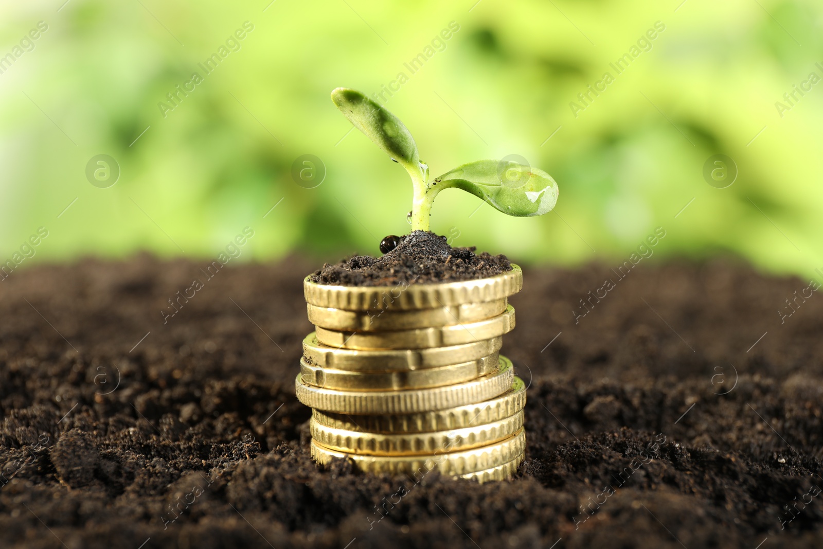 Photo of Stack of coins with green plant on soil against blurred background, closeup. Money growth concept