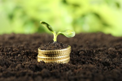 Photo of Stack of coins with green plant on soil against blurred background, closeup. Money growth concept