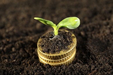 Photo of Stack of coins with green plant on soil, closeup. Money growth concept