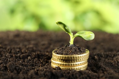 Photo of Stack of coins with green plant on soil against blurred background, , closeup and space for text. Money growth concept