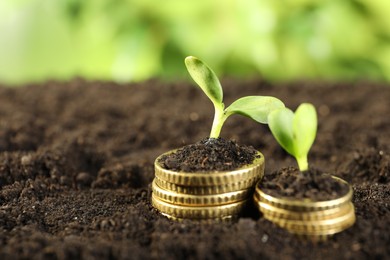 Photo of Stacks of coins with green plants on soil against blurred background, closeup and space for text. Money growth concept