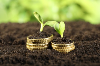 Photo of Stacks of coins with green plants on soil against blurred background, closeup. Money growth concept