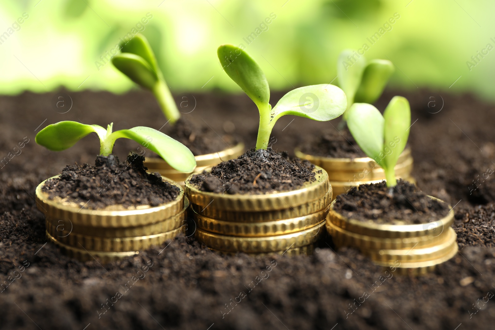 Photo of Stacks of coins with green plants on soil against blurred background, closeup. Money growth concept