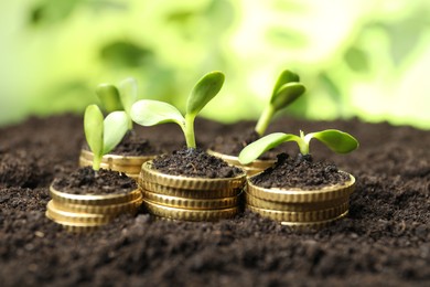 Photo of Stacks of coins with green plants on soil against blurred background, closeup. Money growth concept