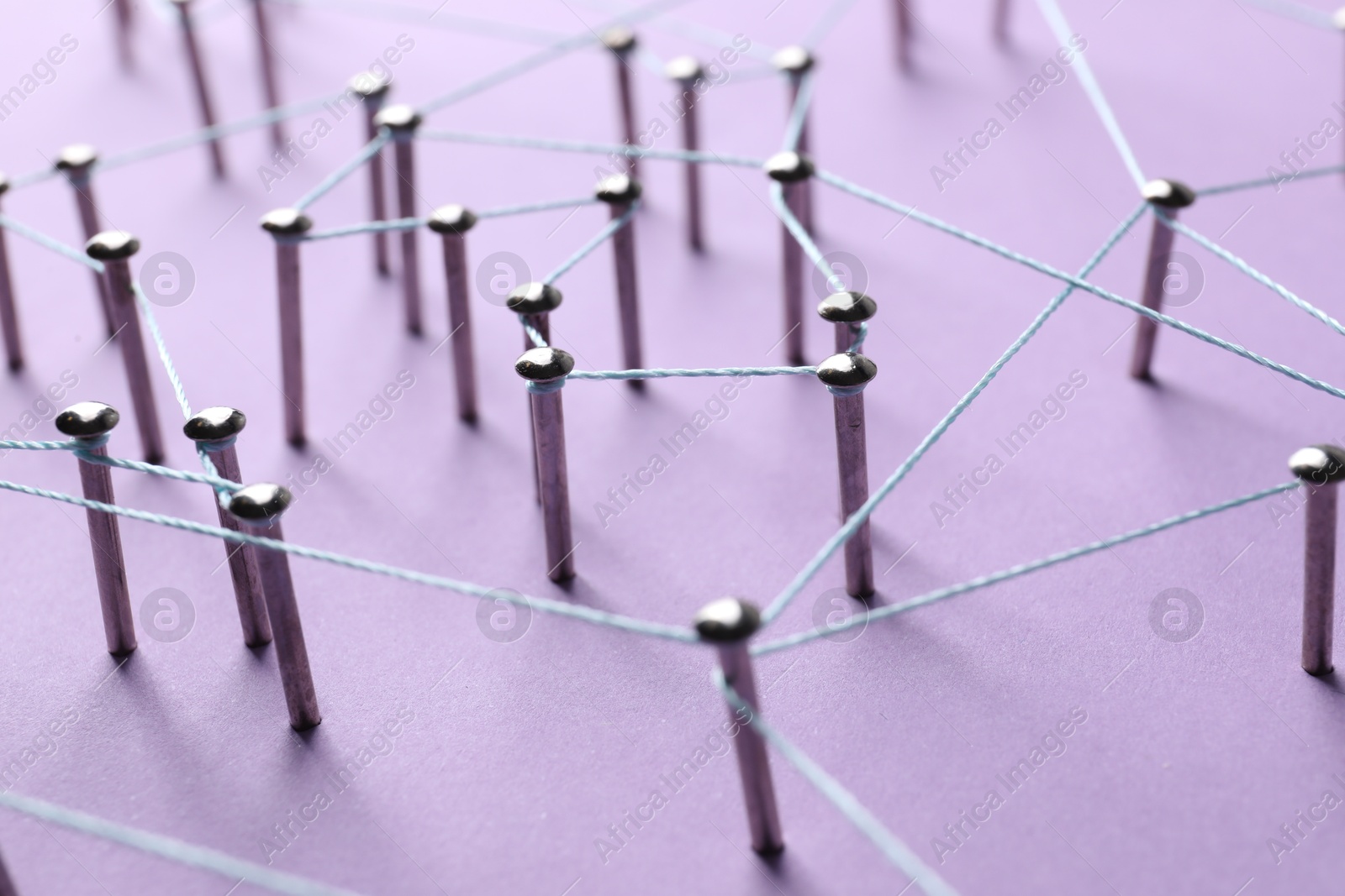 Photo of Network connection. Nails linked together by thread on violet background, closeup