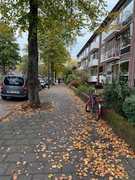 Photo of View of street with parked cars and dry fallen leaves on autumn day