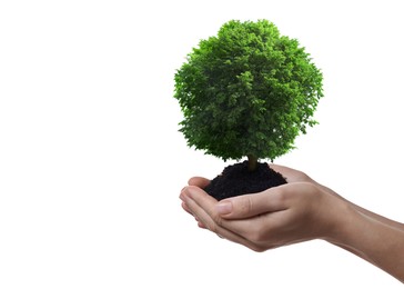 Image of Environment and ecology concept. Woman holding soil with small tree on white background, closeup