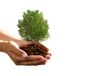 Image of Environment and ecology concept. Woman holding soil with small tree on white background, closeup