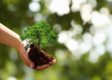 Image of Environment and ecology concept. Woman holding soil with small tree outdoors, closeup