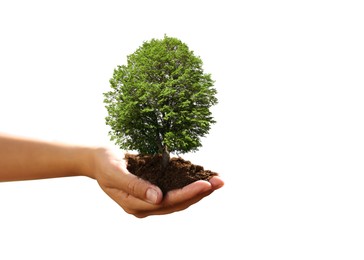 Image of Environment and ecology concept. Woman holding soil with small tree on white background, closeup