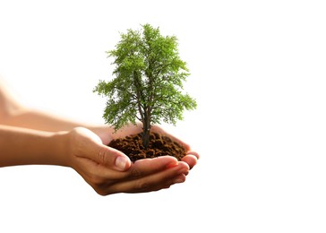 Image of Environment and ecology concept. Woman holding soil with small tree on white background, closeup