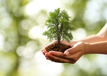 Image of Environment and ecology concept. Woman holding soil with small tree outdoors, closeup