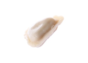 Photo of One dumpling (varenyk) with tasty filling isolated on white