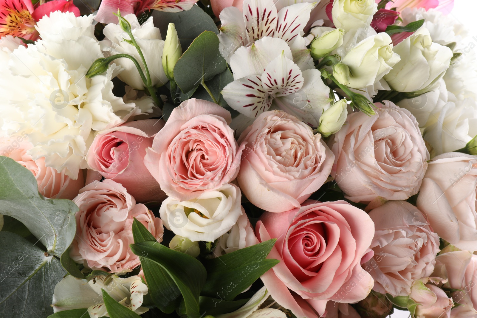 Photo of Bouquet of beautiful flowers as background, closeup