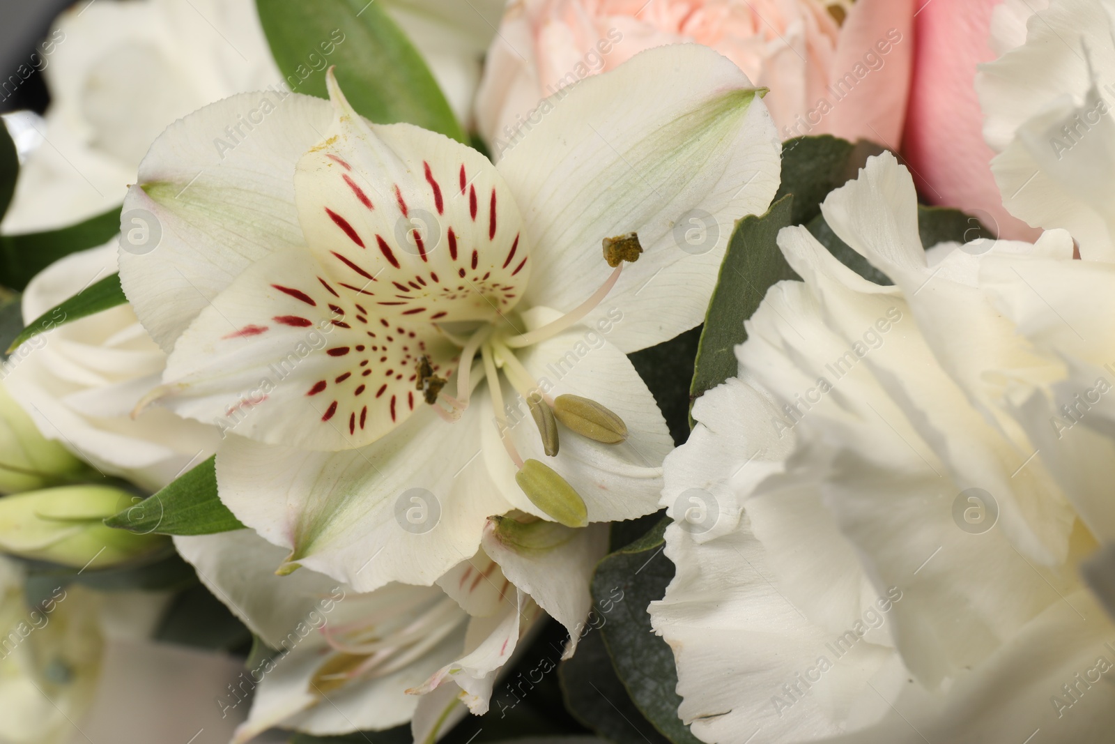 Photo of Bouquet of beautiful flowers as background, closeup