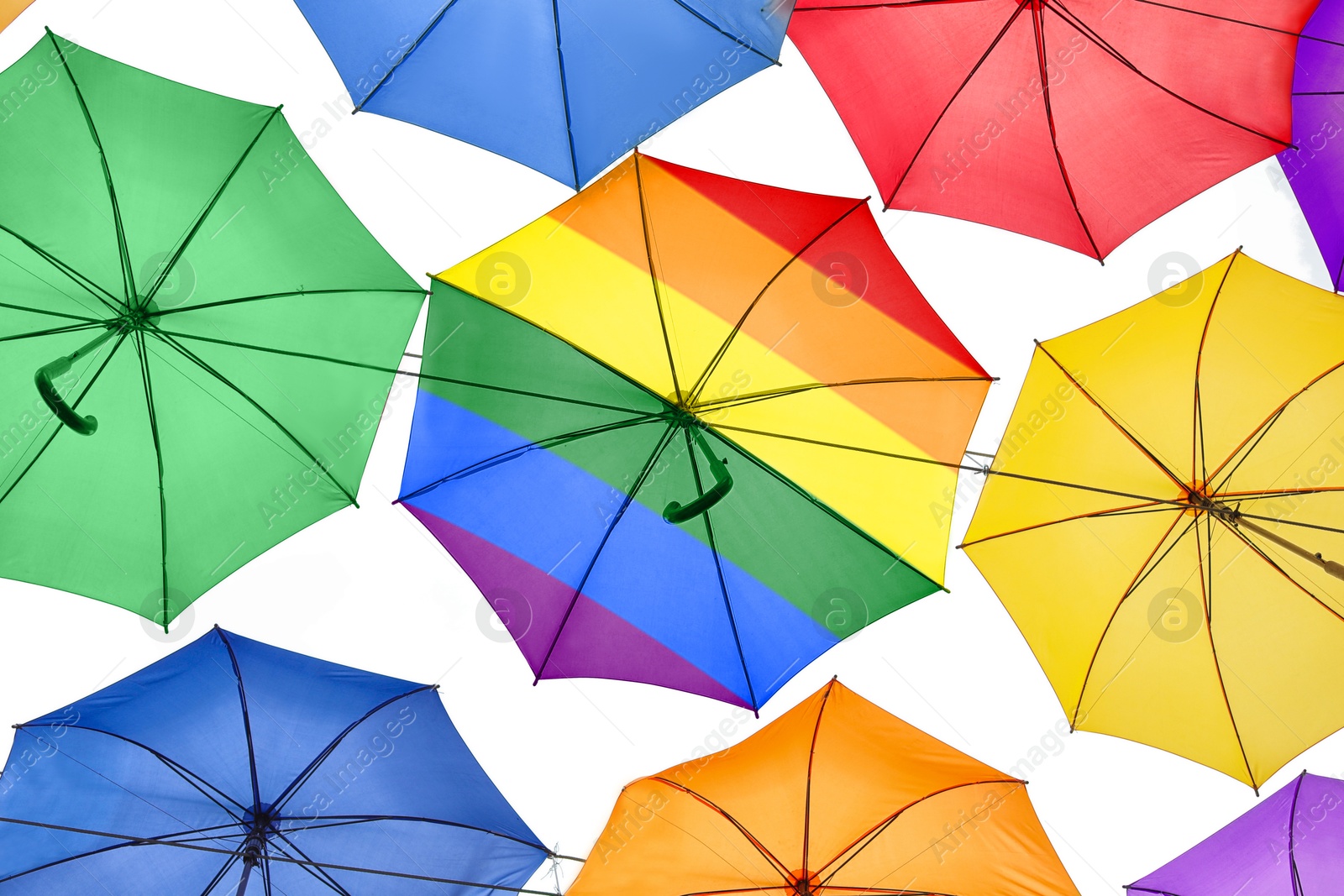 Image of One umbrella in LGBT colors among others, bottom view. Tolerance and acceptance