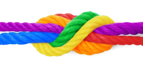 Image of Rope in LGBT colors with knot on white background. Tolerance and acceptance