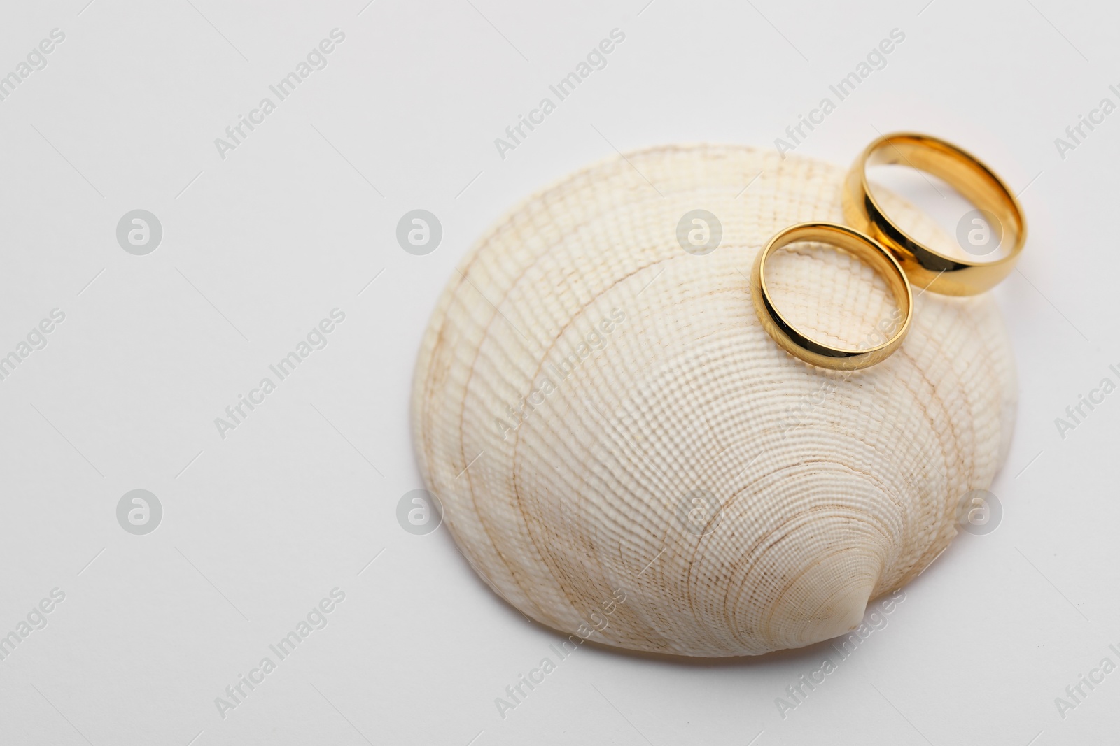 Photo of Beautiful golden wedding rings and sea shell on white background, top view. Space for text