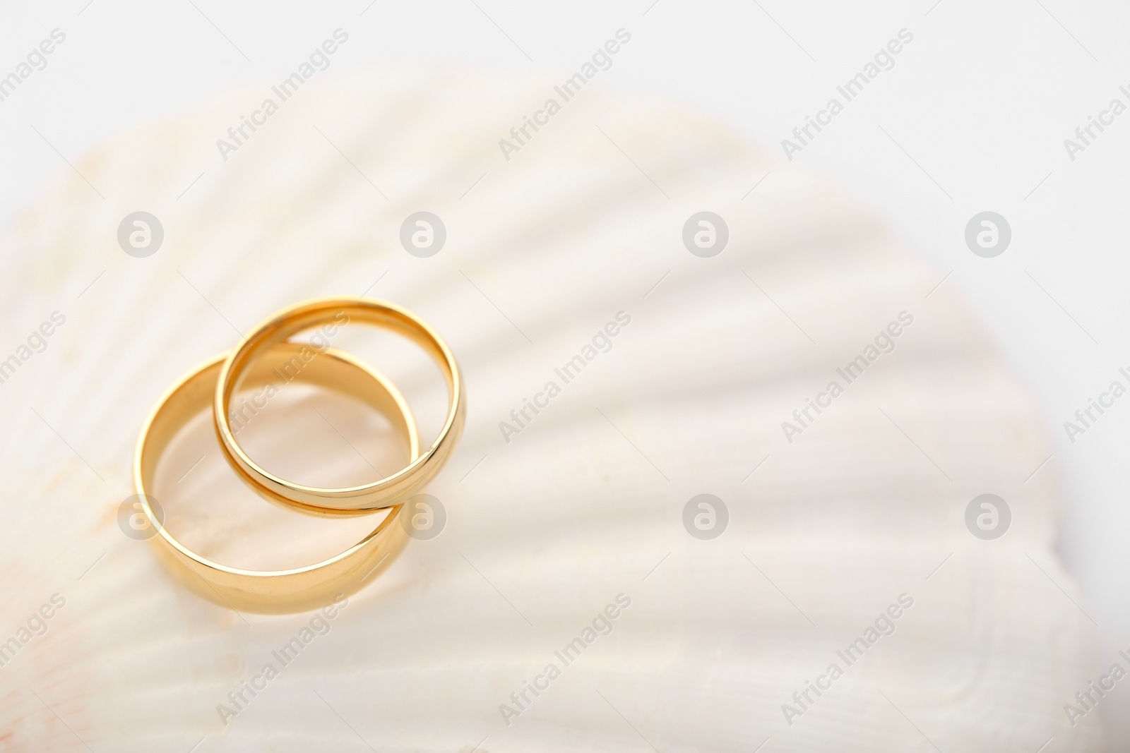 Photo of Beautiful golden wedding rings on sea shell against light background, closeup. Space for text