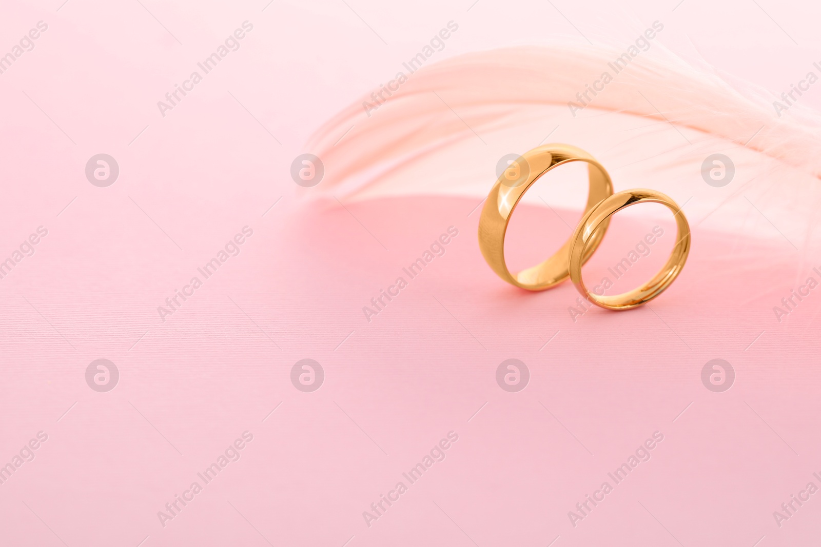 Photo of Beautiful golden wedding rings and feather on pink background, space for text