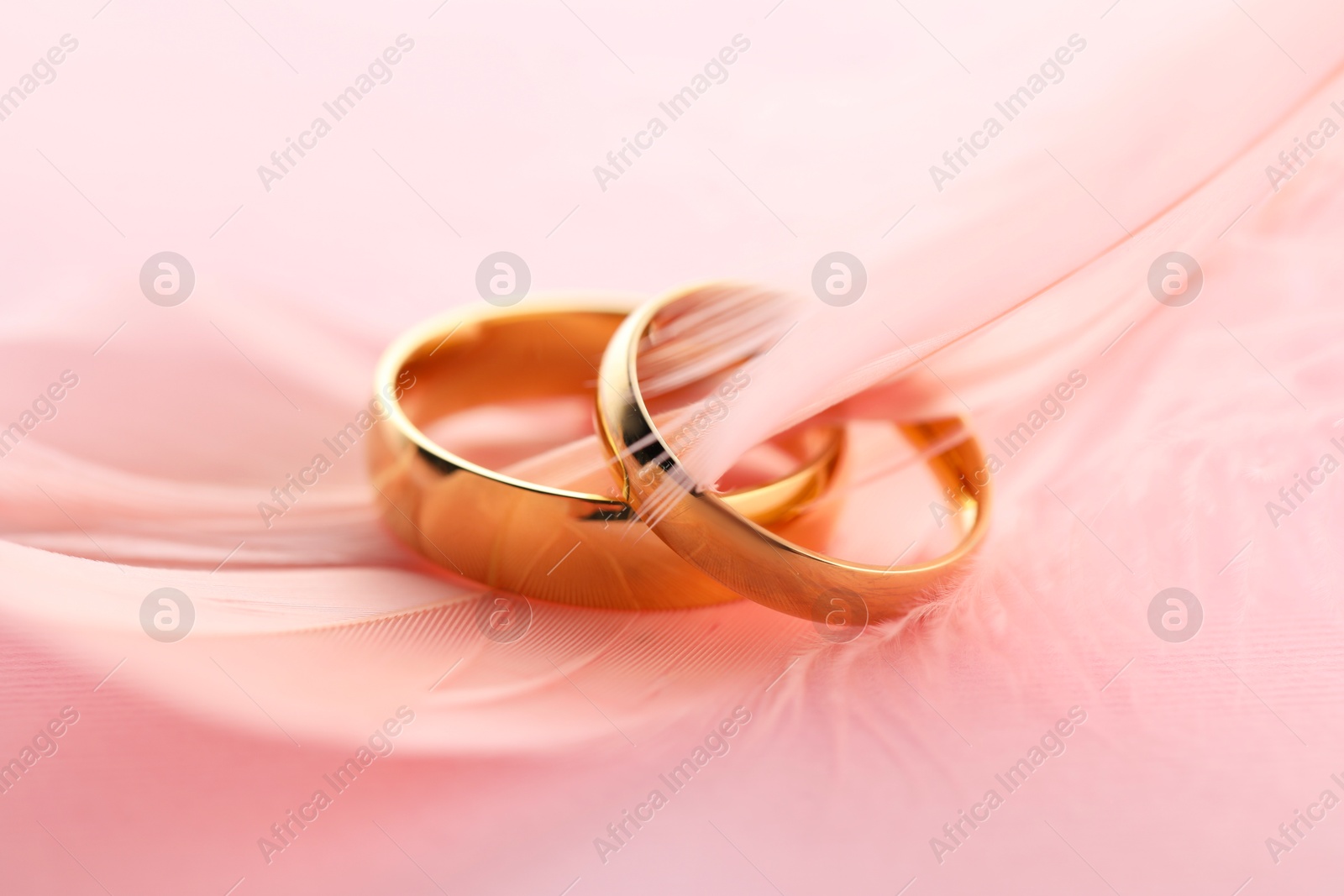 Photo of Beautiful golden wedding rings and feather on pink background, closeup