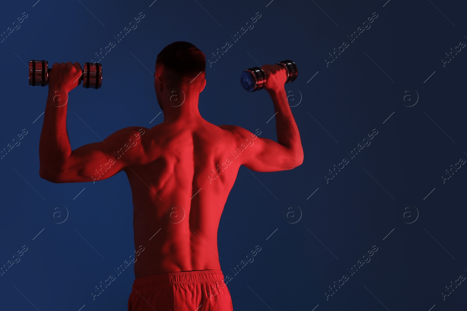 Photo of Man exercising with dumbbells in red light on blue background, back view. Space for text