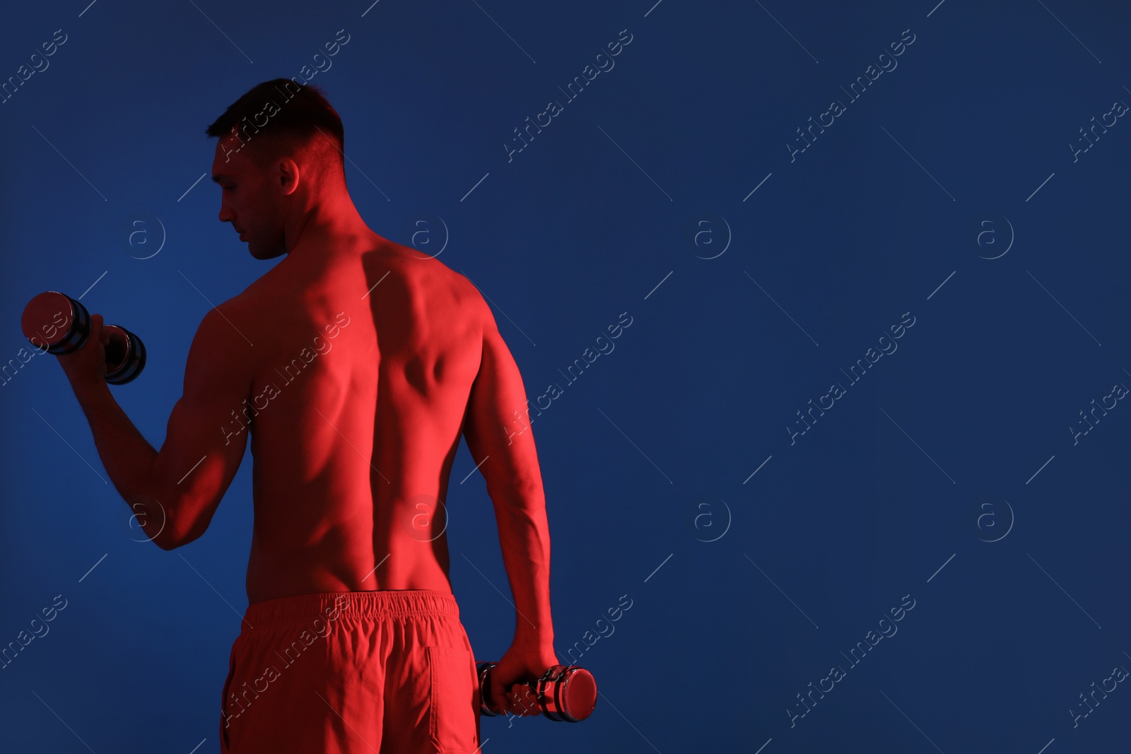 Photo of Man exercising with dumbbells in red light on blue background, back view. Space for text