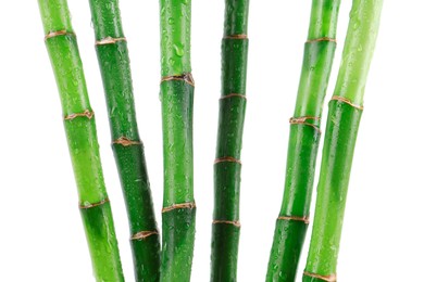 Photo of Stems of decorative bamboo plant isolated on white