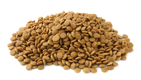 Photo of Pile of pet food isolated on white