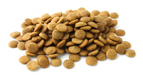 Photo of Pile of pet food isolated on white