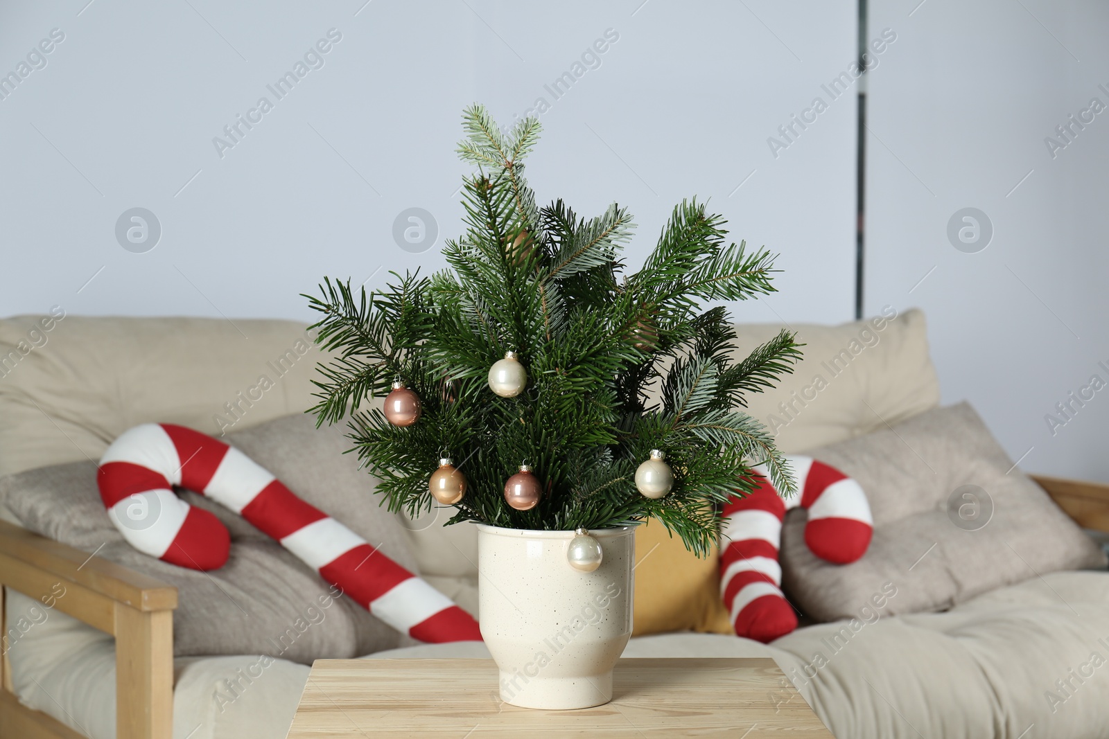 Photo of Decorated fir tree branches on table at home. Christmas decor