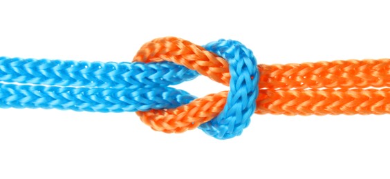 Photo of Colorful ropes tied in knot isolated on white. Unity concept