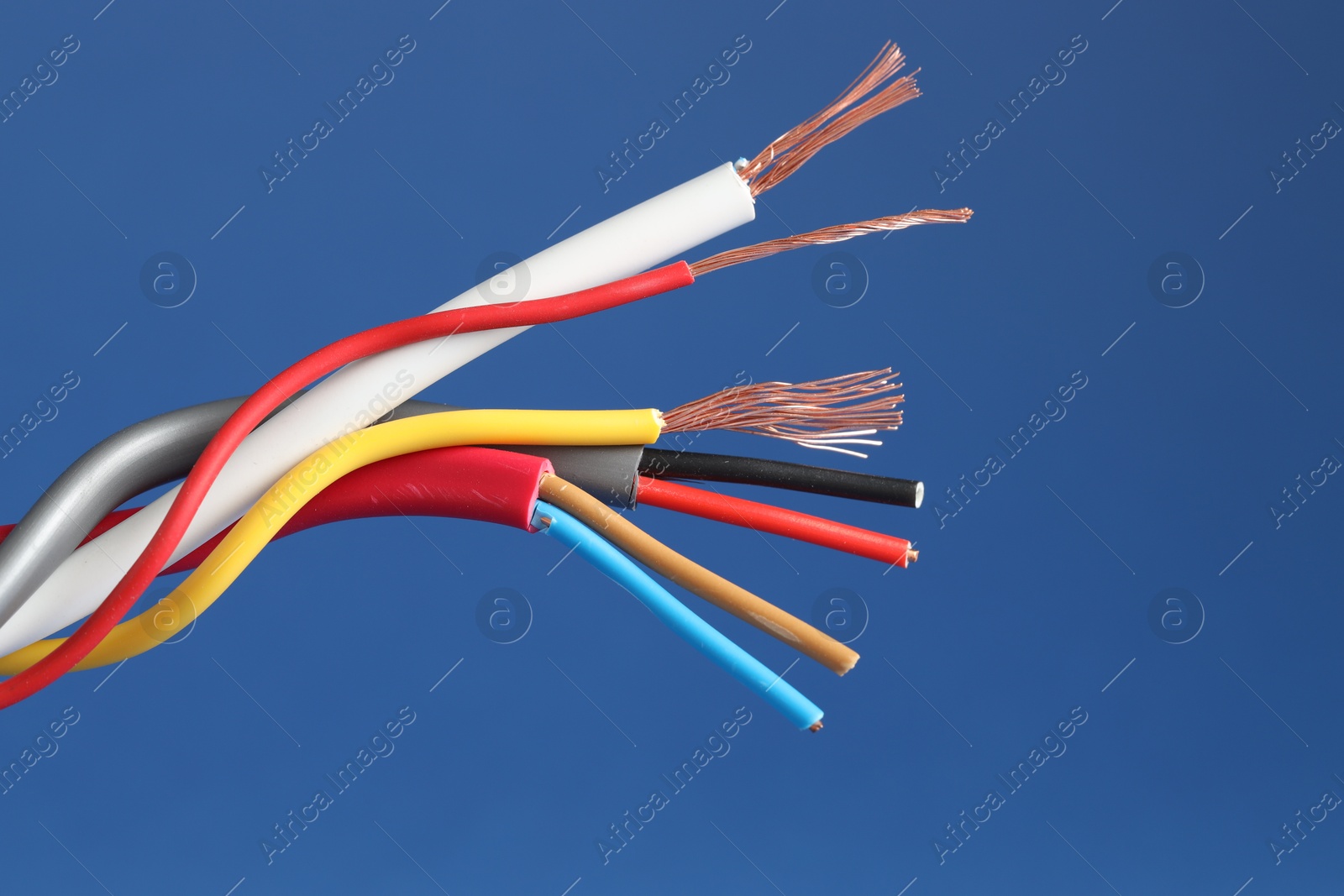 Photo of Many stripped electrical wires on blue background, closeup