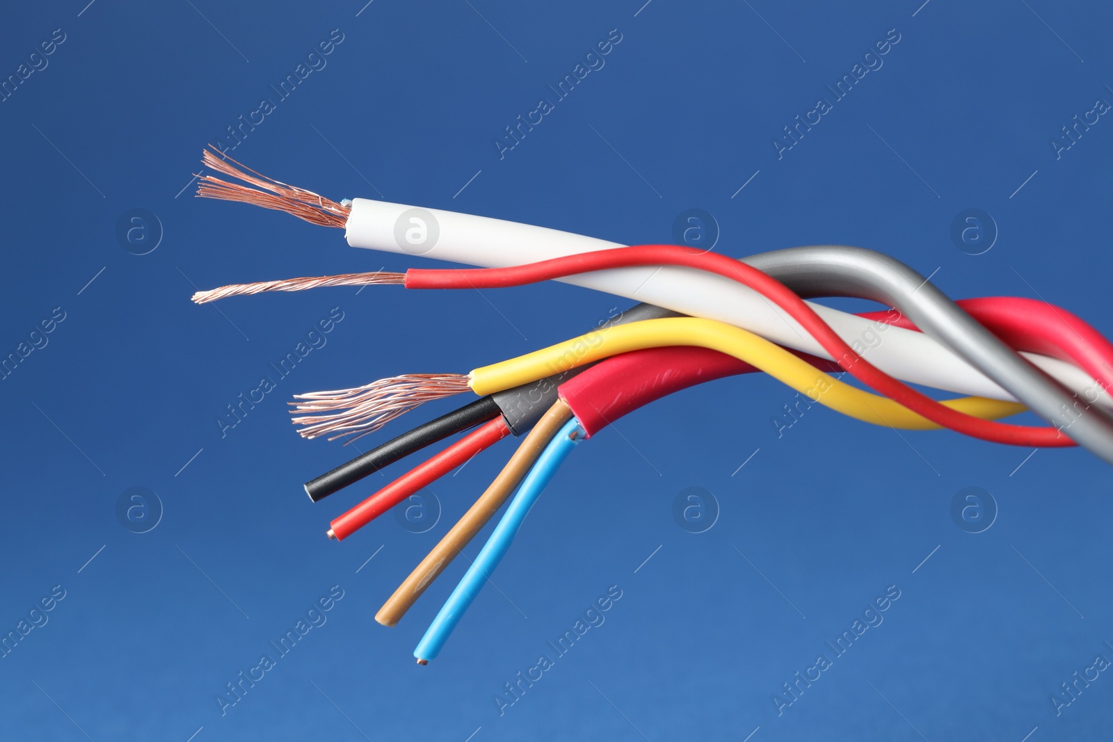 Photo of Many stripped electrical wires on blue background, closeup