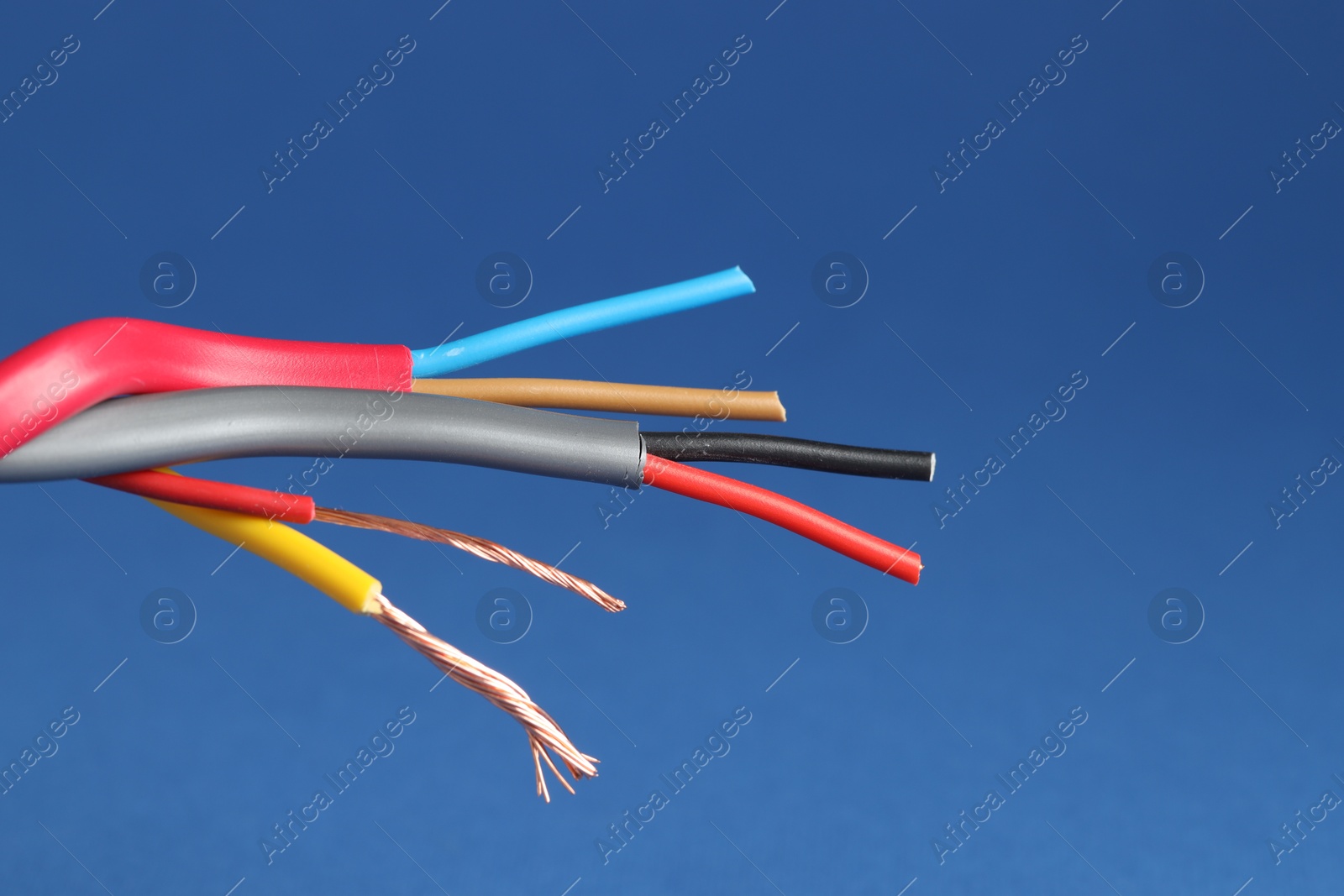 Photo of Many stripped electrical wires on blue background, closeup