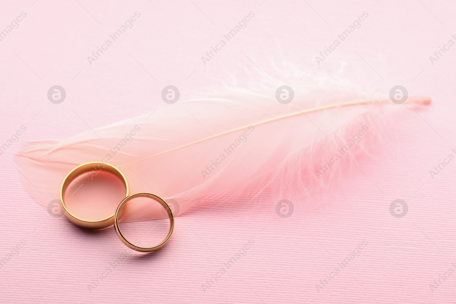 Photo of Beautiful golden wedding rings and feather on pink background