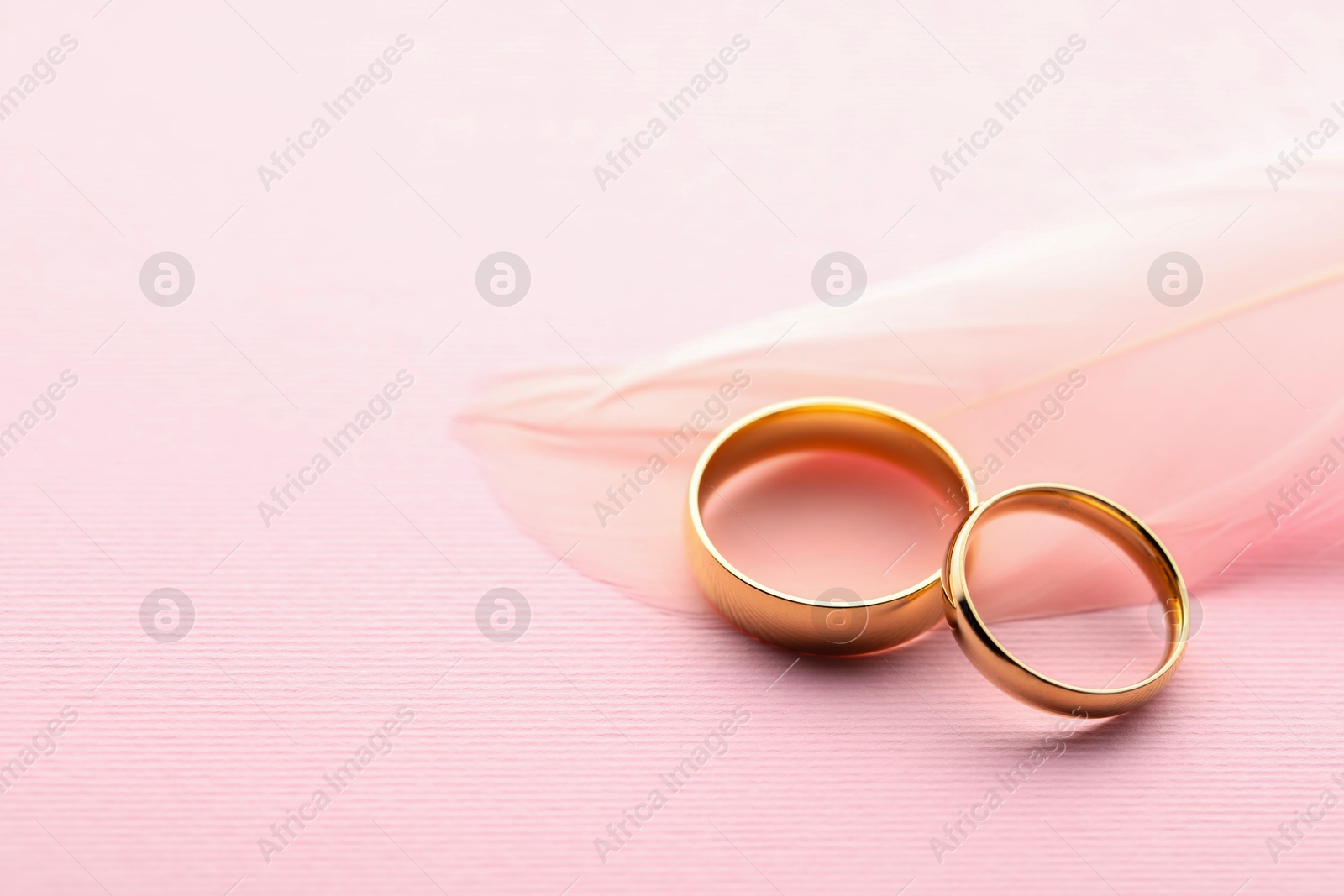 Photo of Beautiful golden wedding rings and feather on pink background, closeup. Space for text