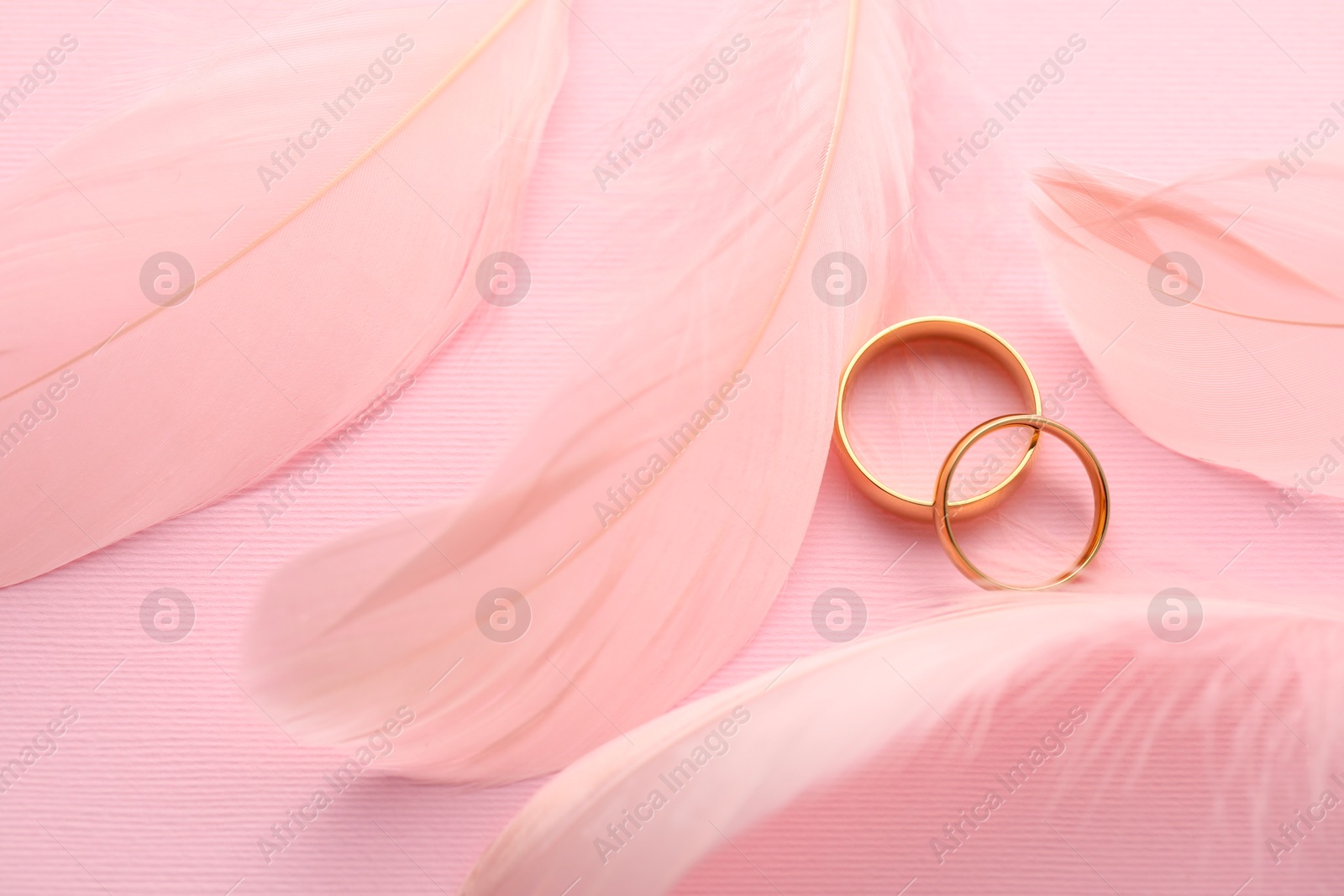 Photo of Beautiful golden wedding rings and feathers on pink background, flat lay