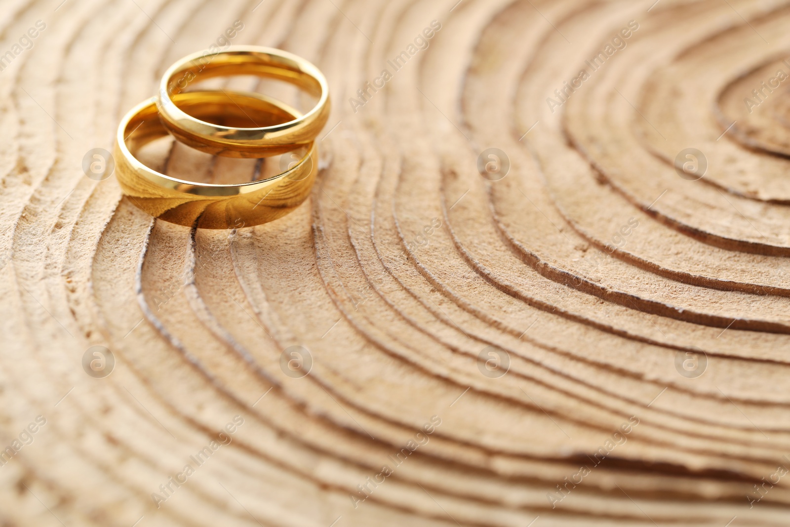 Photo of Beautiful golden wedding rings on tree stump, space for text