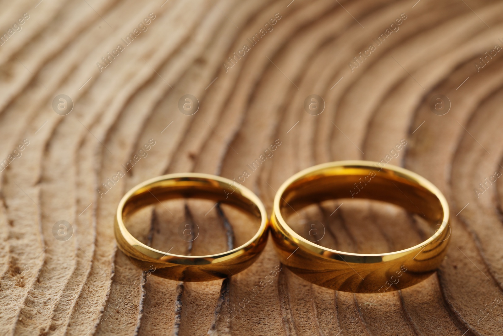 Photo of Beautiful golden wedding rings on tree stump, closeup