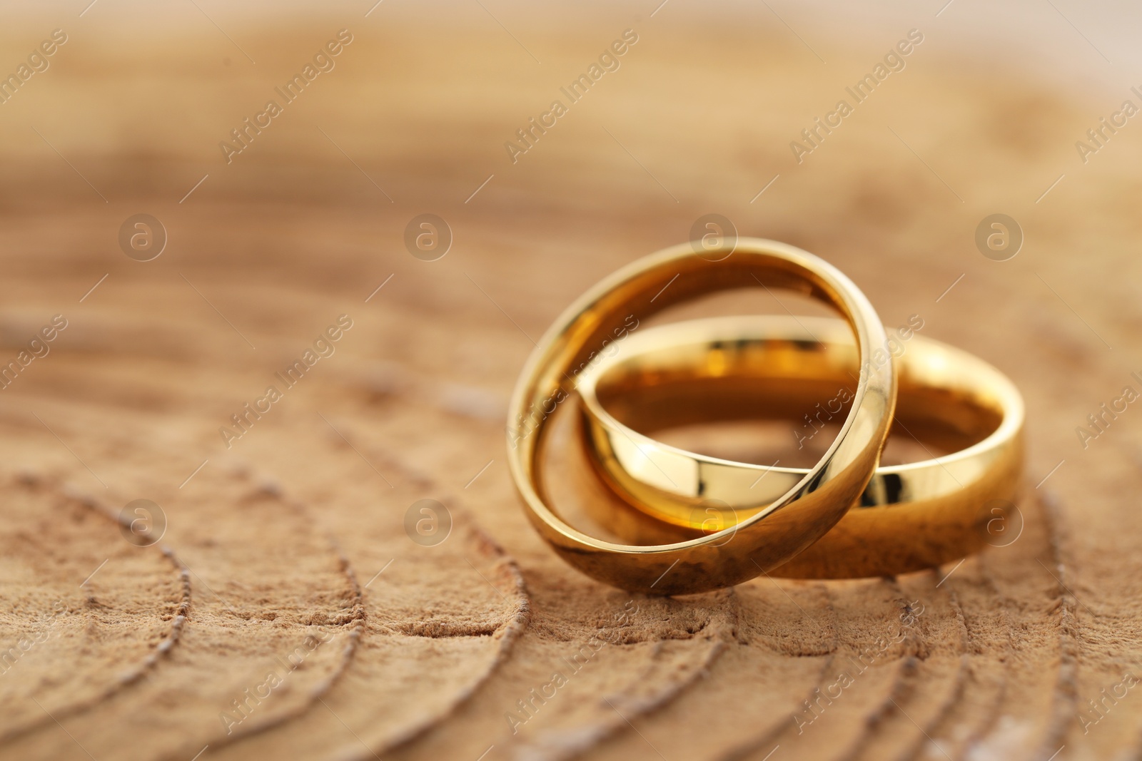 Photo of Beautiful golden wedding rings on tree stump, closeup. Space for text