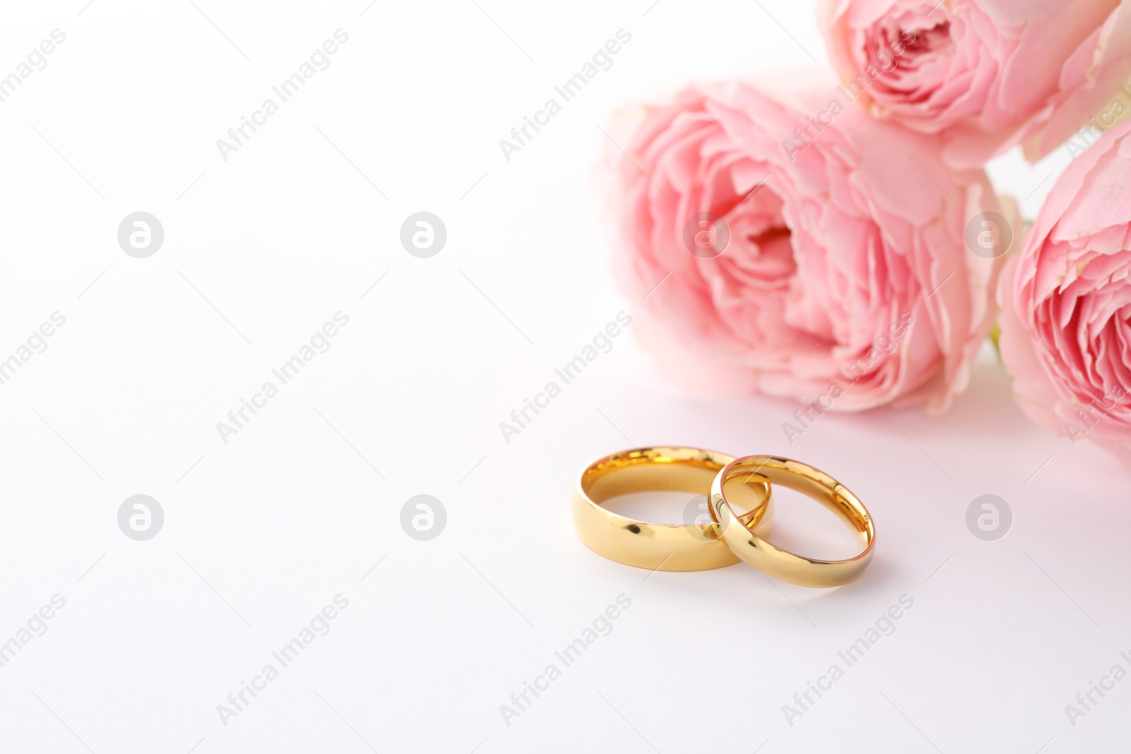 Photo of Golden wedding rings and flowers on white background, closeup. Space for text