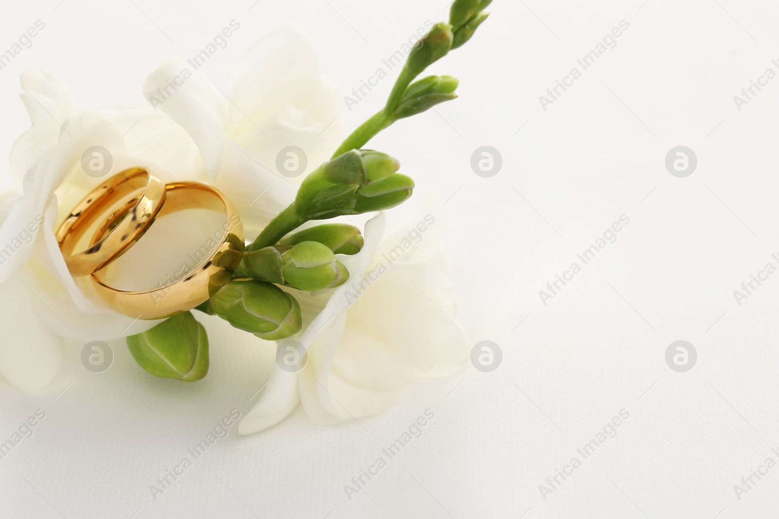 Photo of Golden wedding rings and flowers on white background, closeup. Space for text