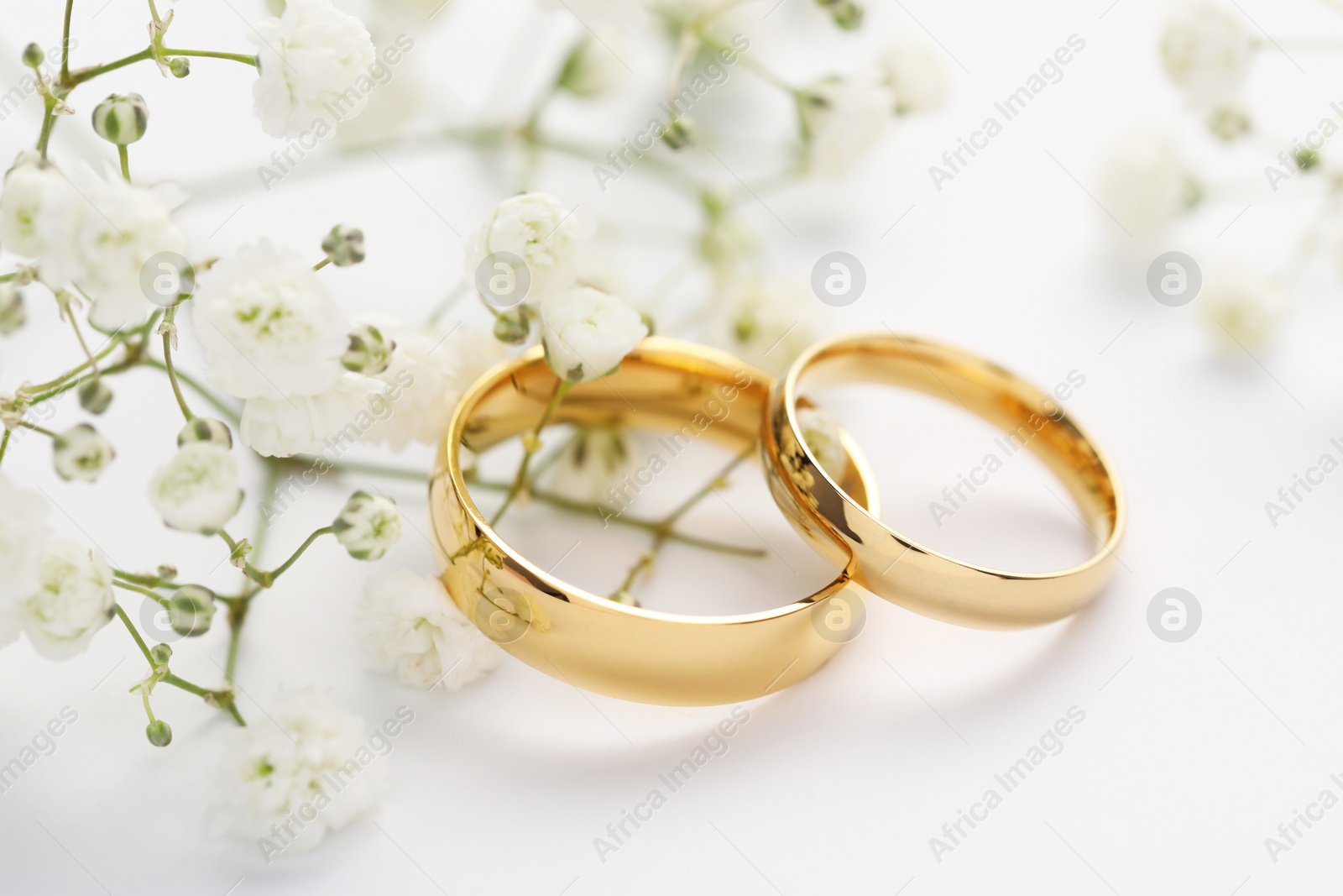 Photo of Golden wedding rings and flowers on white background, closeup